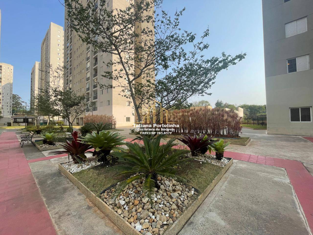 Apartamento à venda com 3 quartos, 65m² - Foto 21