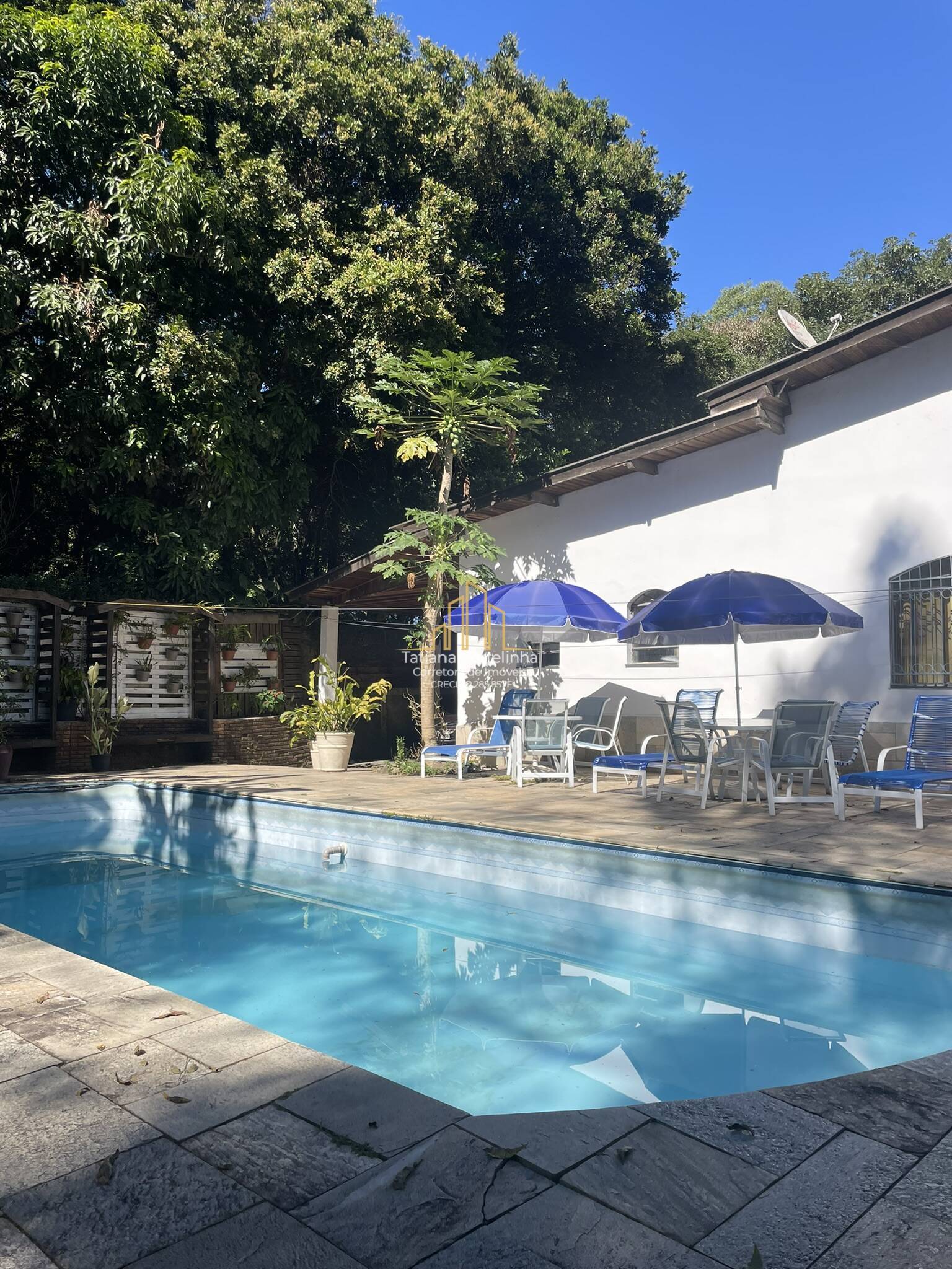 Casa à venda com 5 quartos, 1617m² - Foto 6