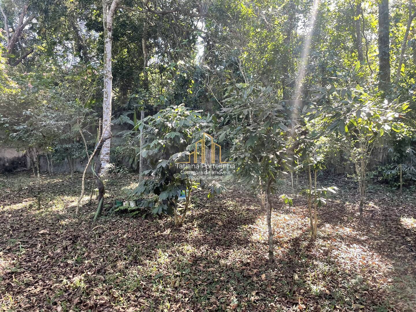 Casa à venda com 5 quartos, 1617m² - Foto 49