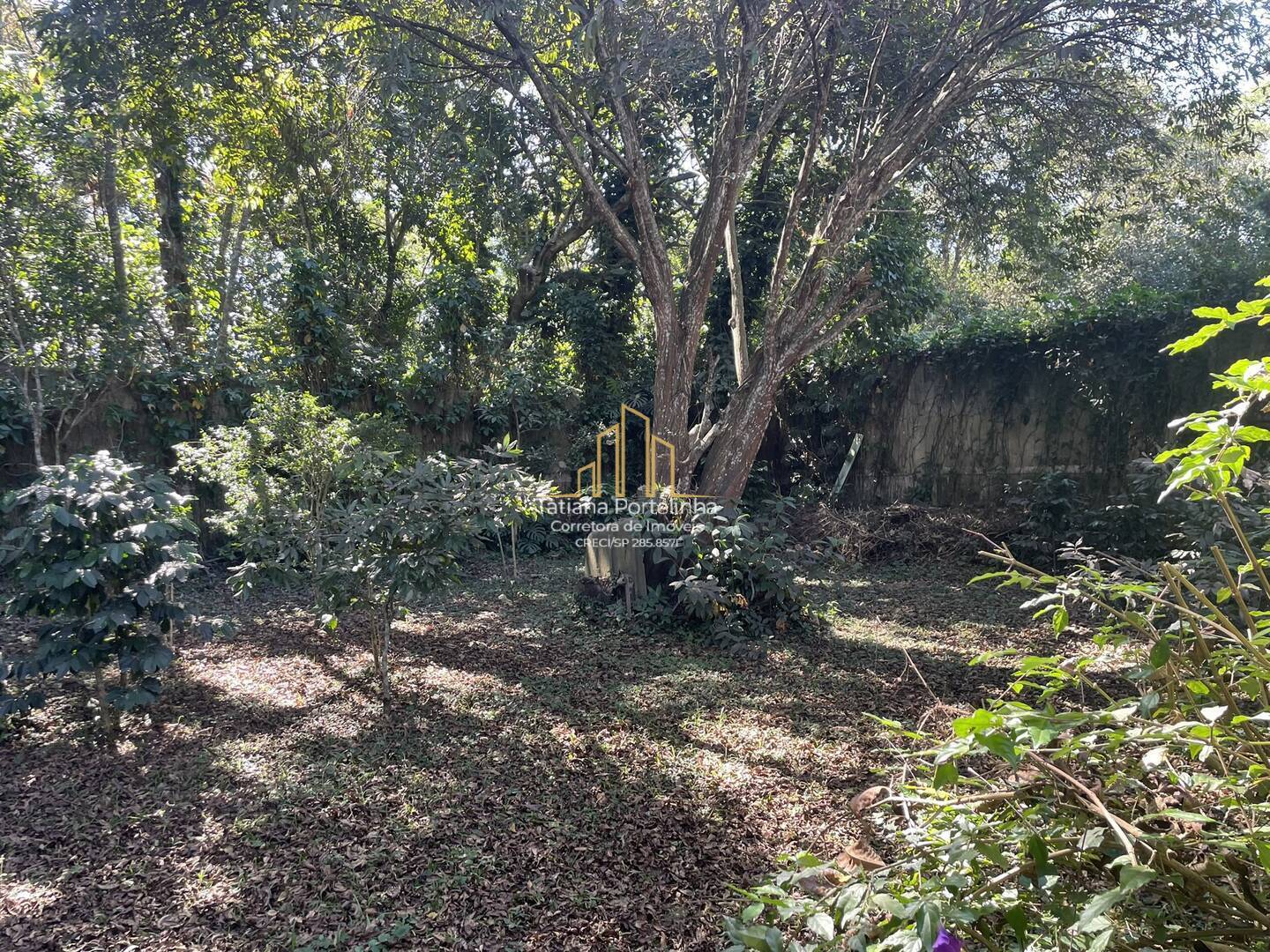 Casa à venda com 5 quartos, 1617m² - Foto 50